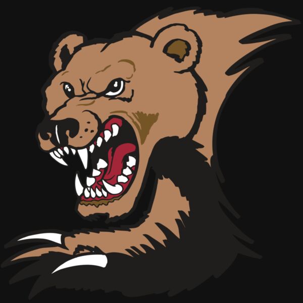 AR BEAR 56 RC Thumbnail