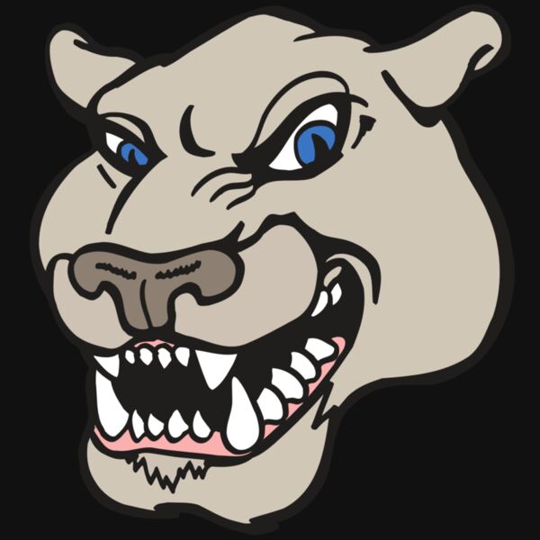 AR5 COUGAR 10 RQC Thumbnail