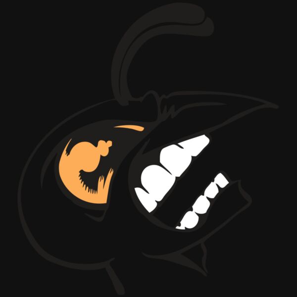 BAW BEE 19 RC Thumbnail