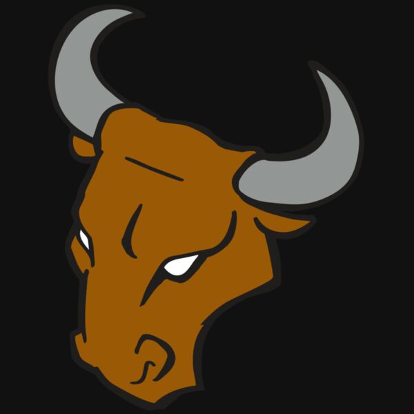 AR BULL 28 RC Thumbnail