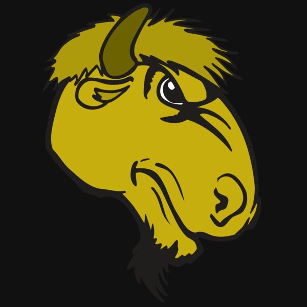 AR BUFFALO 14 RC Thumbnail