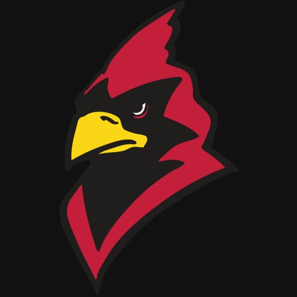 AR CARDINAL 22 RC Thumbnail