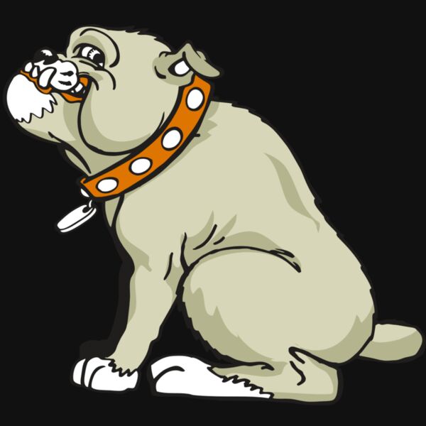 AR BDOG 26 RC Thumbnail