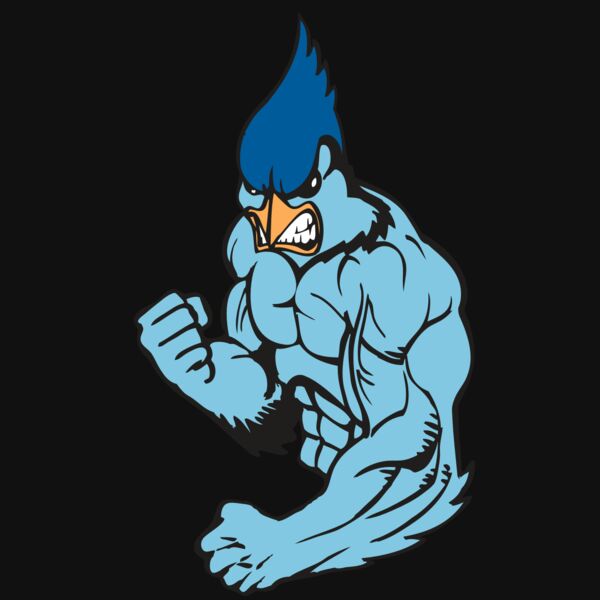 BAW BLUEJAY 13 RC Thumbnail