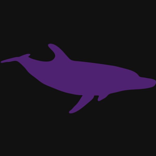 AR DOLPIN 12 RC Thumbnail