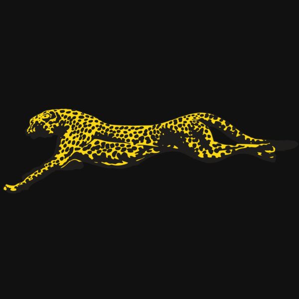 AR CHEETAH 12 RC Thumbnail