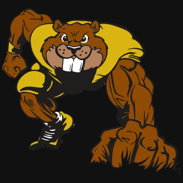 AR14 BEAVER FBLL 03 RQC Thumbnail