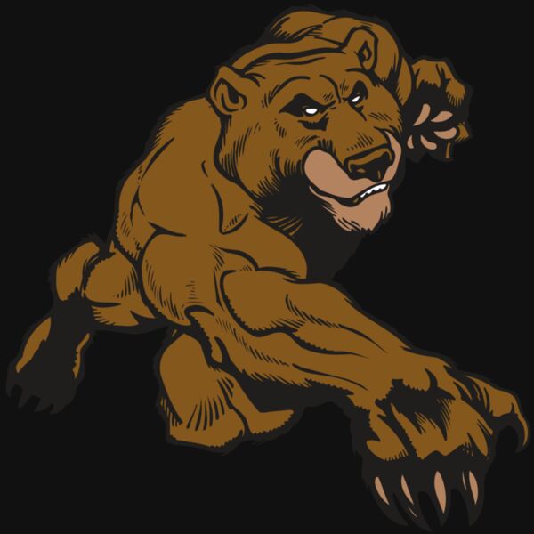 AR BEAR 29 RC Thumbnail