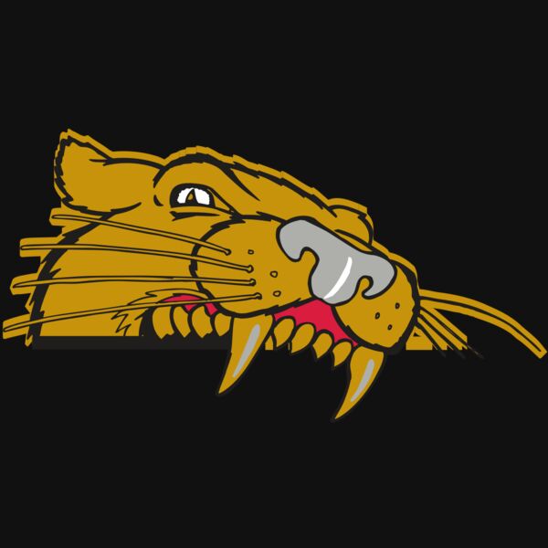 AR COUGAR 73 RC Thumbnail