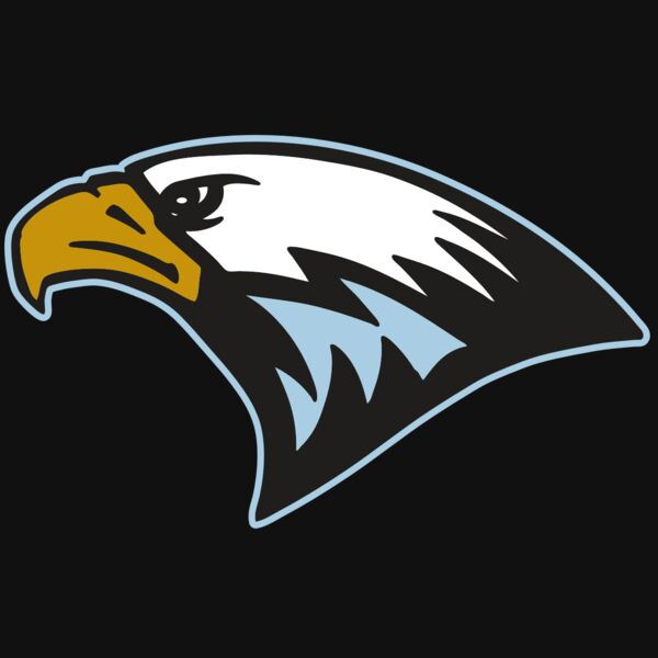 AR EAGLE 27 RC Thumbnail