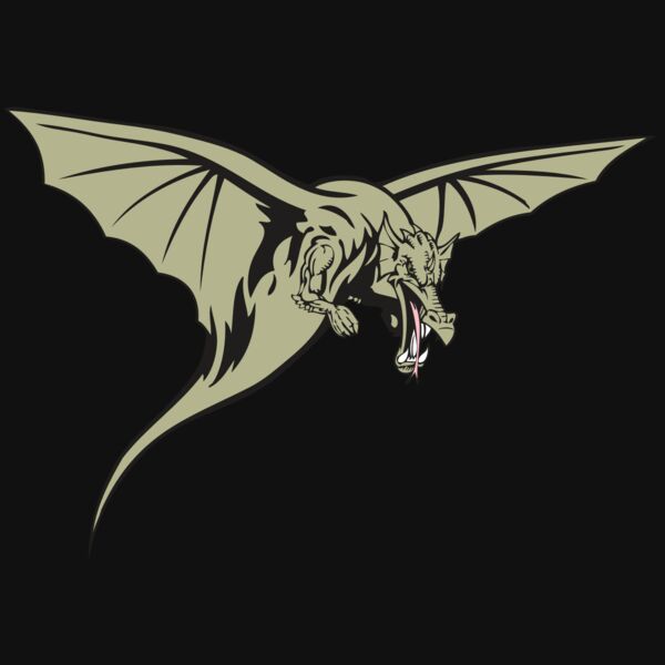 BAW DRAGON 12 RC Thumbnail