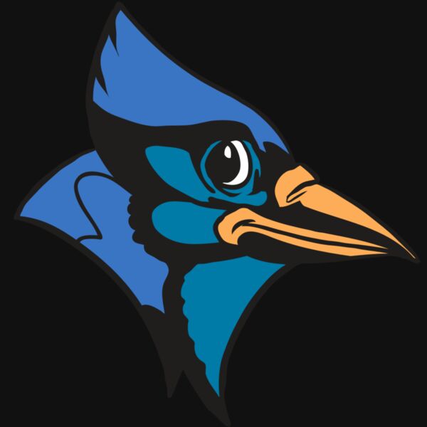 AR31 BLUEJAY 04 RQC Thumbnail