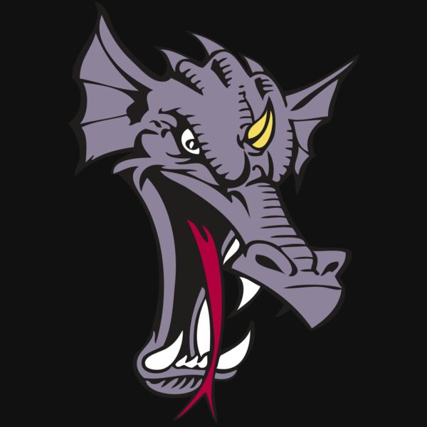 BAW DRAGON 05 RC Thumbnail