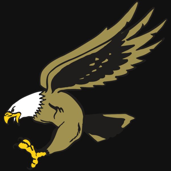 AR EAGLE 23 RC Thumbnail