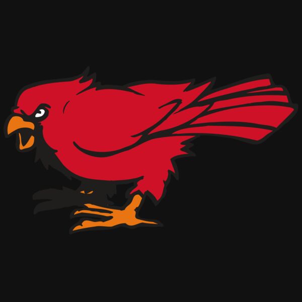 AR CARDINAL 59 RC Thumbnail