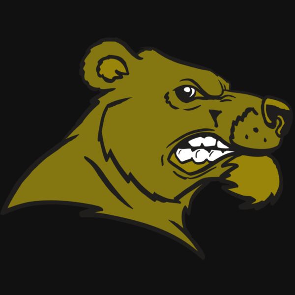 AR BEAR 11 RC Thumbnail