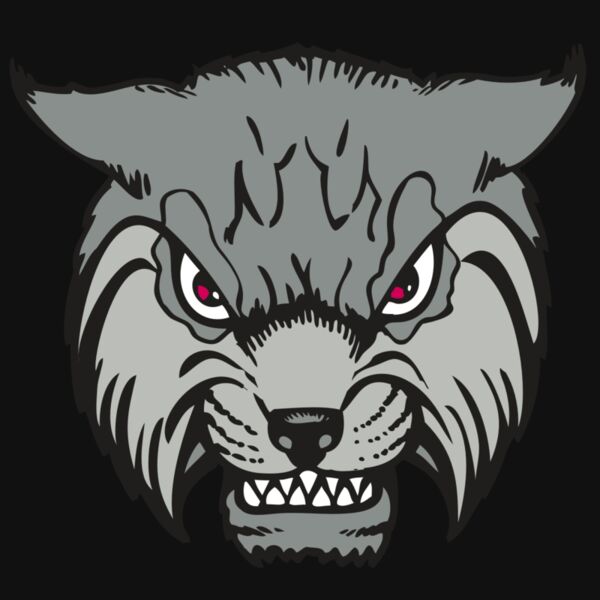 BAW BOBCAT 02 RC Thumbnail