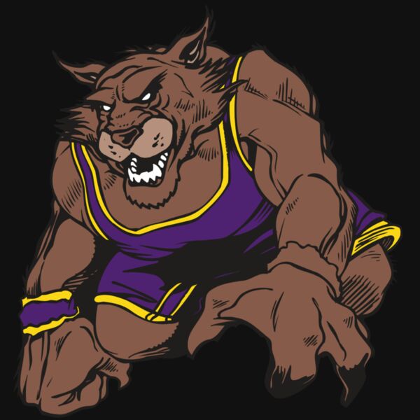 AR WILDCAT 23 RC Thumbnail