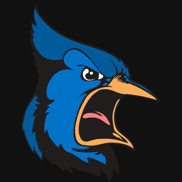 BAW BLUEJAY 03 RC Thumbnail