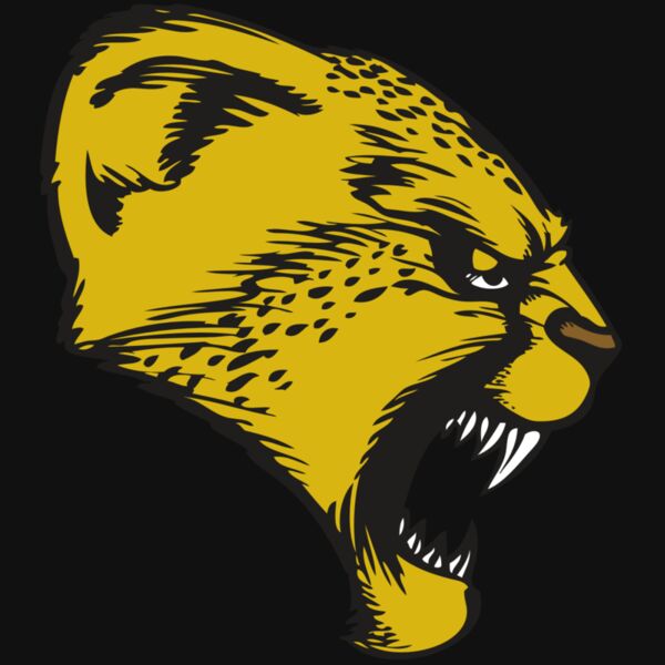 BAW CHEETAH 13 RC Thumbnail