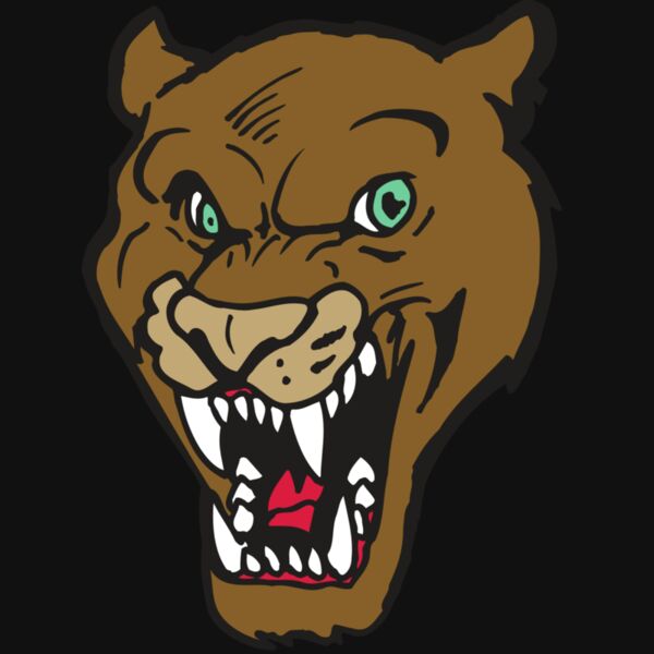 AR5 COUGAR 16 RQC Thumbnail