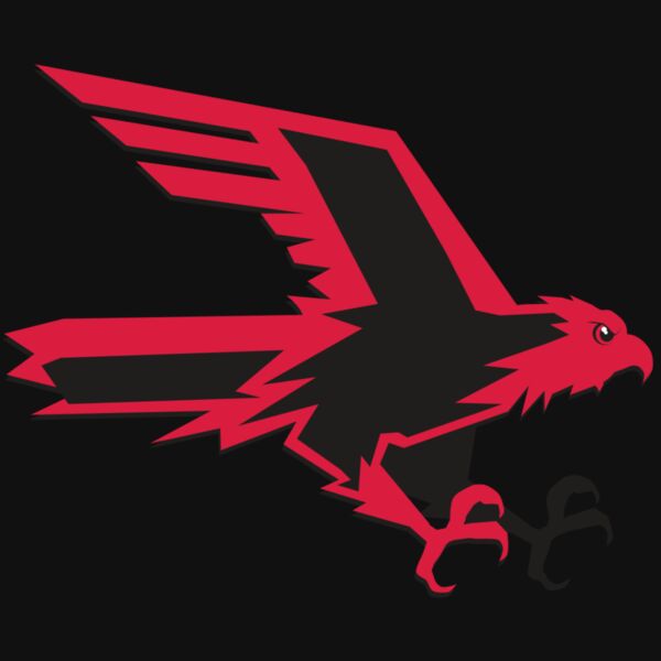 AR9 FALCON 02 RQC Thumbnail