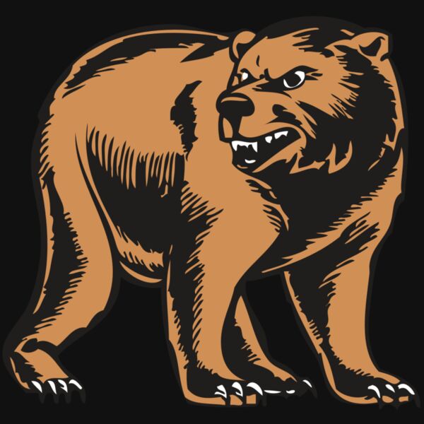 BAW BEAR 09 RC Thumbnail