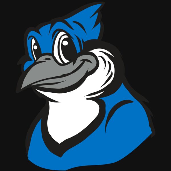 AR31 BLUEJAY 02 RQC Thumbnail