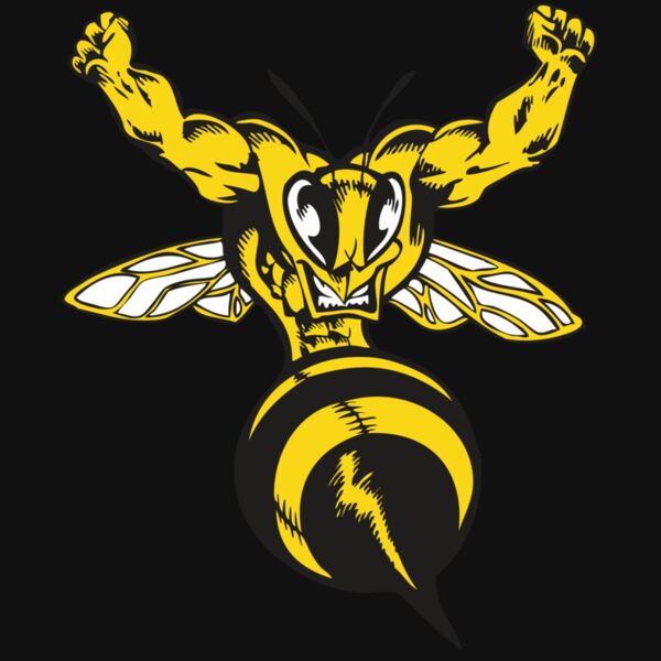 BAW BEE 04 RC Thumbnail