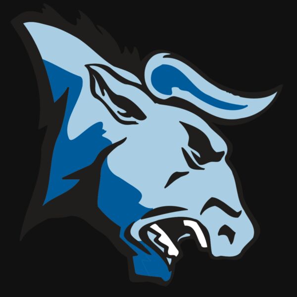 AR BULL 20 RC Thumbnail