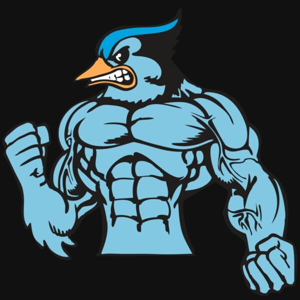 BAW BLUEJAY 16 RC Thumbnail