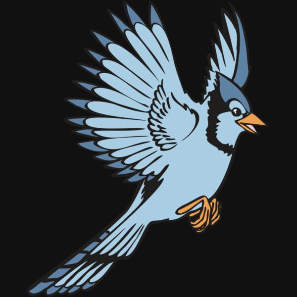 BAW BLUEJAY 12 RC Thumbnail