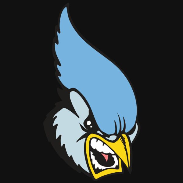 BAW BLUEJAY 05 RC Thumbnail