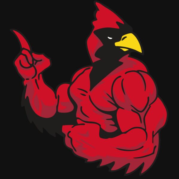 AR CARDINAL 28 RC Thumbnail