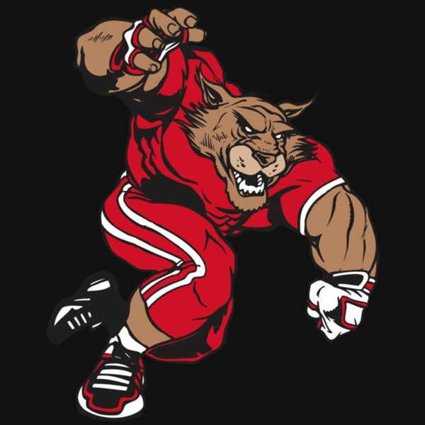 AR WILDCAT 32 RC Thumbnail