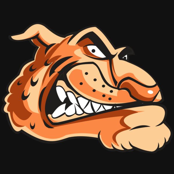 CHEETAH HD0503 RQC Thumbnail