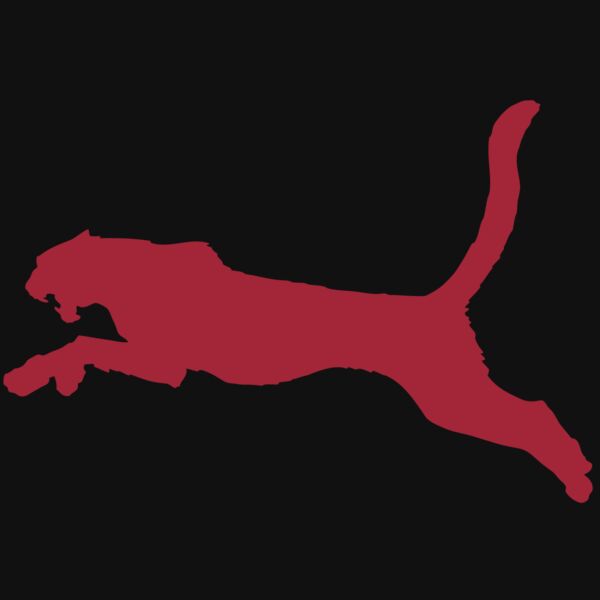 AR CHEETAH 11 RC Thumbnail