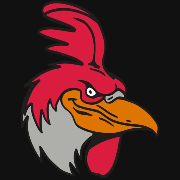 AR5 Gamecock 05 RQC Thumbnail