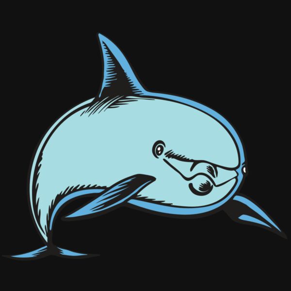 BAW DOLPHIN 04 RC Thumbnail