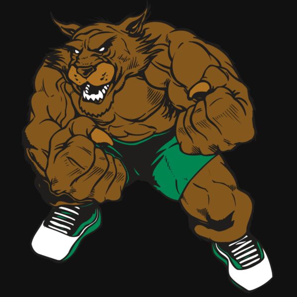 AR WILDCAT 45 RC Thumbnail