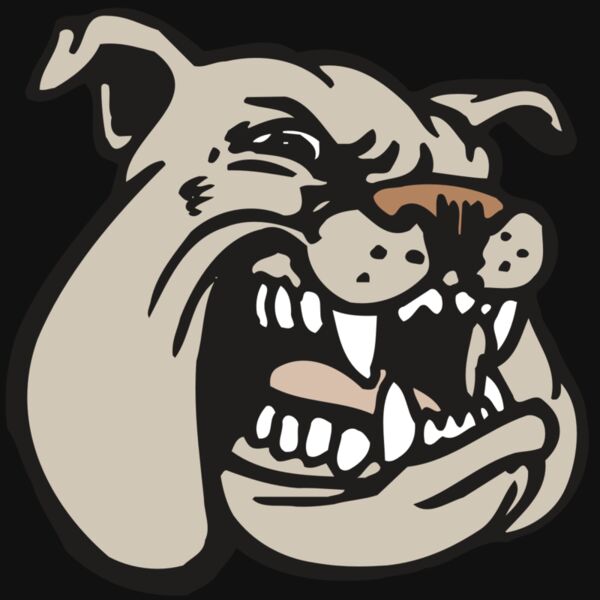 AR BDOG 38 RC Thumbnail