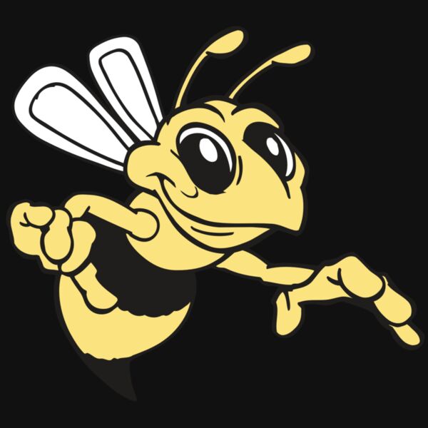 AR BEE 35 RC Thumbnail