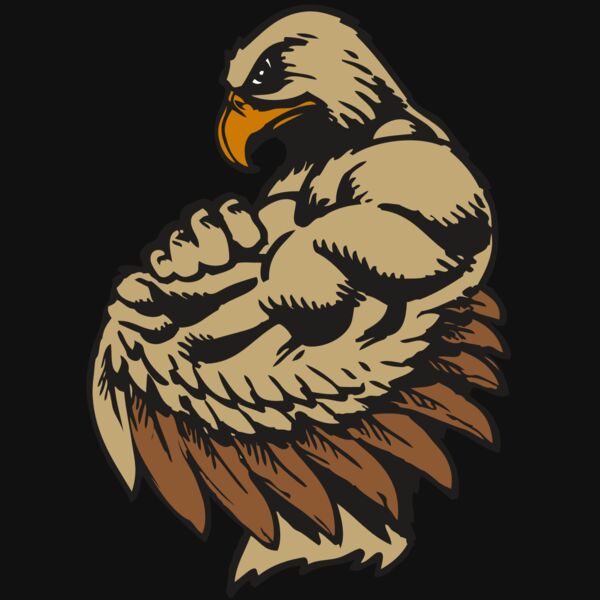 BAW HWK FLCN 02 RC Thumbnail