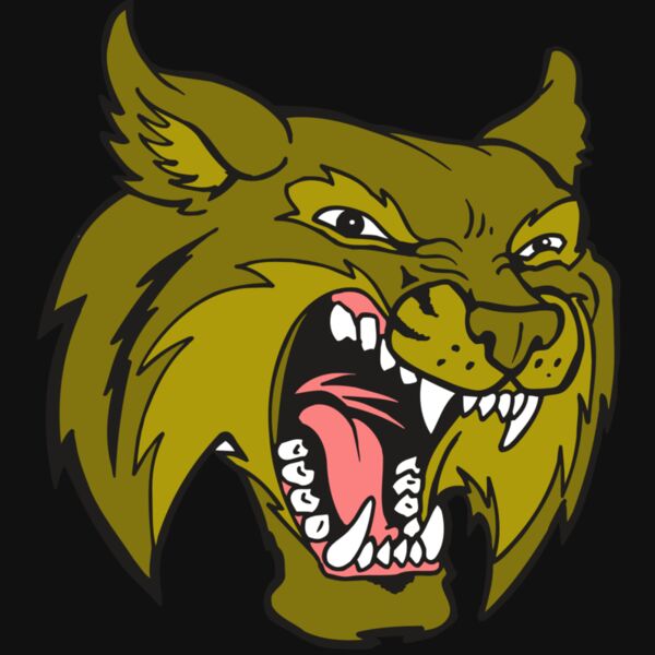 AR5 BOBCAT 20 RQC Thumbnail