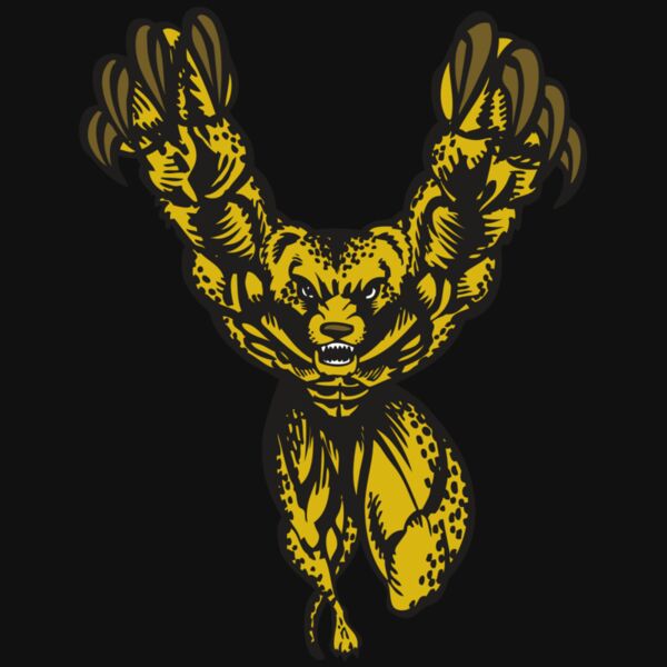 BAW CHEETAH 09 RC Thumbnail