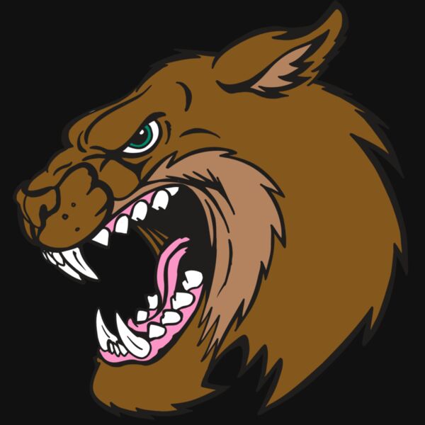 AR5 BOBCAT 18 RQC Thumbnail