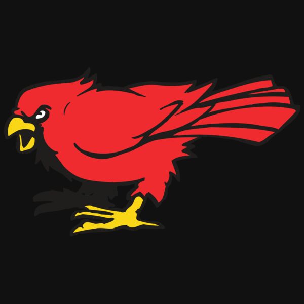 AR CARDINAL 11 RC Thumbnail