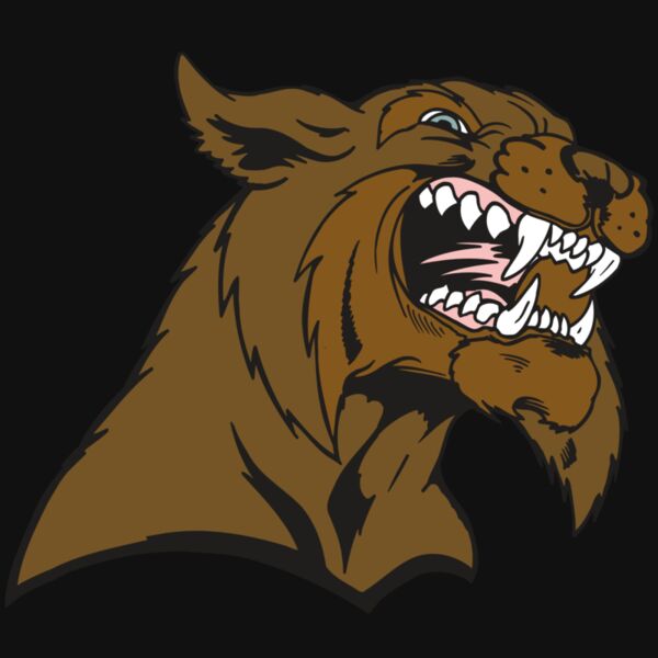 AR5 BOBCAT 21 RQC Thumbnail