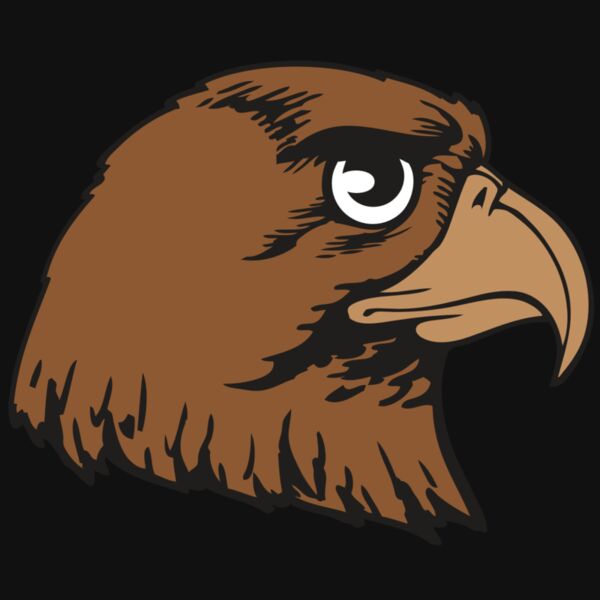 BAW HWK FLCN 05 RC Thumbnail