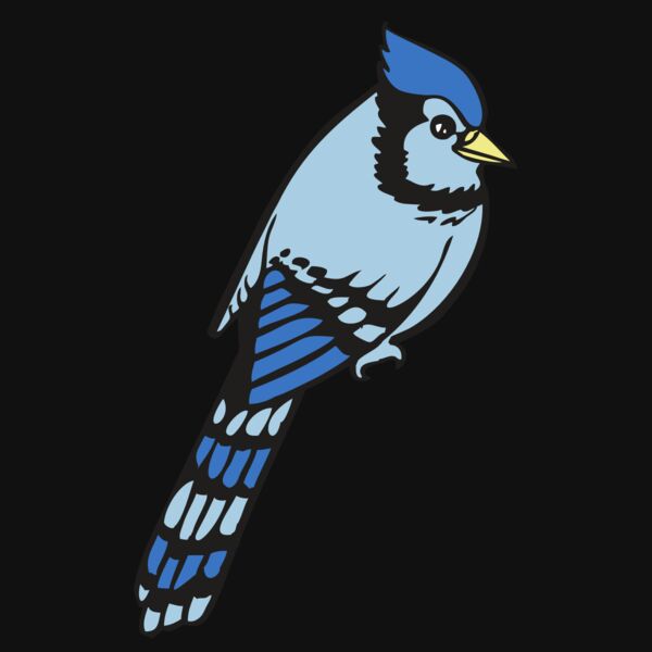 BAW BLUEJAY 08 RC Thumbnail